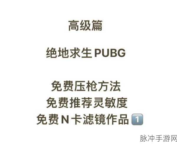 全自动射击模式下绝地求生刺激战场实战心得深度剖析