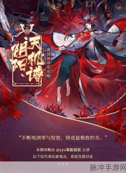 阴阳师新SSR式神彼岸花揭秘,上线时间与详细数据攻略