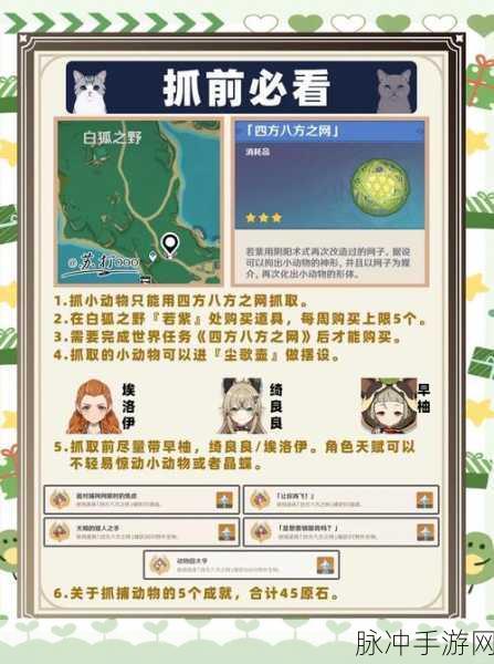 原神外旅指南，如何捕捉绝美瞬间，拍照留念全攻略
