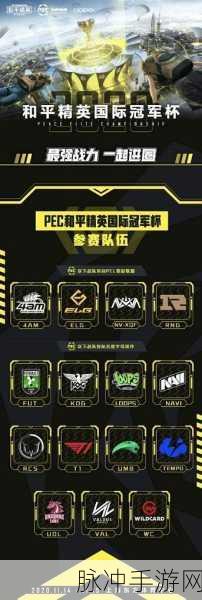 和平精英PE国际冠军杯,电竞战场上的荣耀巅峰之战