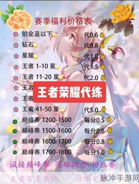 王者荣耀代练平台深度解析,哪个平台更优质?