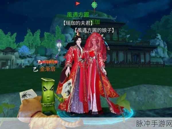 探寻倩女幽魂手游，小鸡背后的深情故事与攻略秘籍