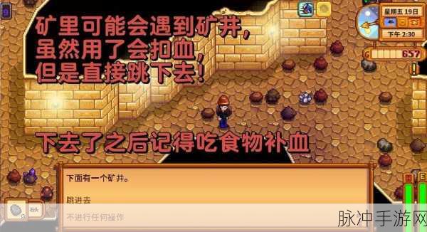 星露谷物语如何获得铱矿攻略详解介绍,全面指南
