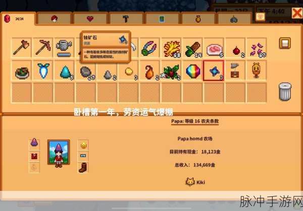 星露谷物语如何获得铱矿攻略详解介绍,全面指南
