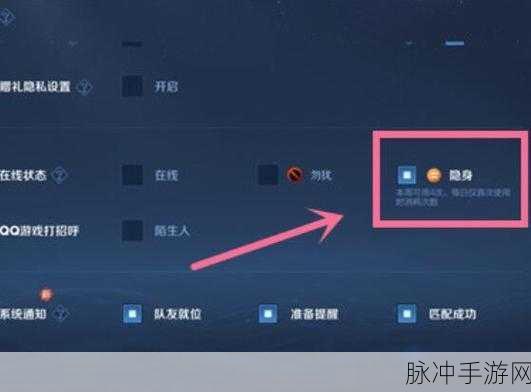 王者荣耀隐身功能揭秘,登录时间是否显露无踪?
