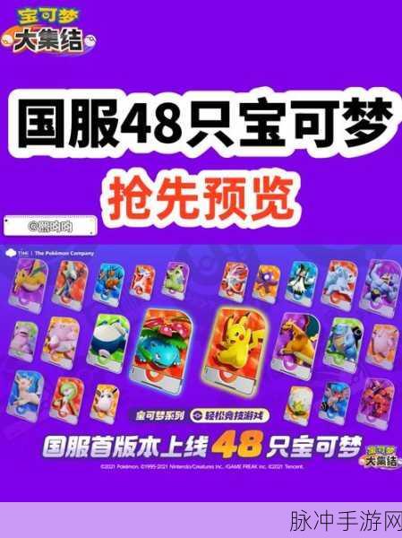 宝可梦大集结11600半价池攻略,精选高性价比宝可梦,助你高效选择半价宝可梦