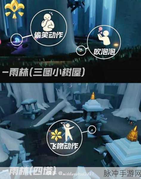 光遇手游探索,花手动作先祖位置全解析