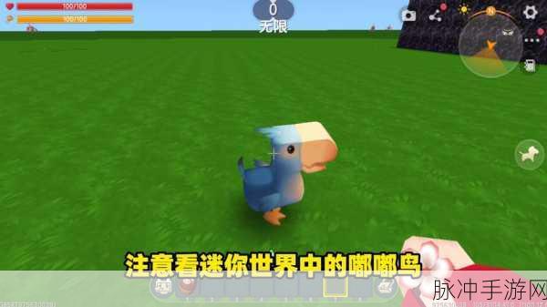 探索迷你世界深度攻略,鸵鸟的最爱——全面揭秘它们钟爱的美食