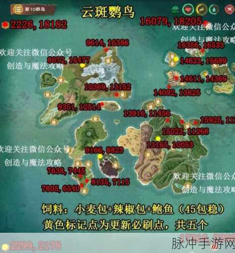 创造与魔法云斑鹦鸟刷新几率高的岛屿探索全攻略