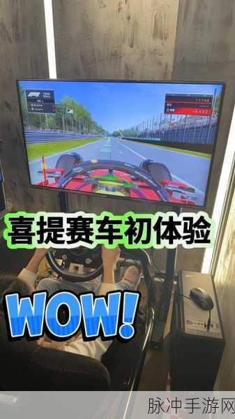 模拟飞车大赛手机版，速度与激情的完美碰撞
