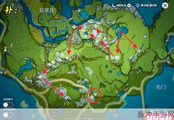 玛娜希斯回响沙漠绿洲材料探索全攻略,材料采集深度解析与采集点指南