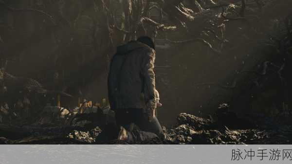 生化危机全系列入坑指南,解锁你的恐怖冒险之旅钥匙