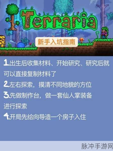 泰拉瑞亚整蛊屁垫,欢乐背后的神秘力量探索指南