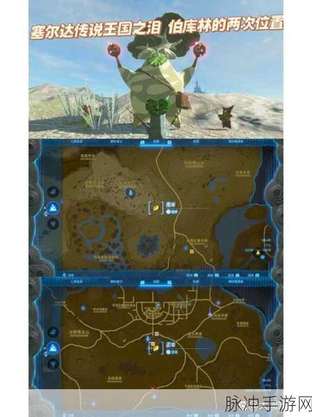 塞尔达传说王国之泪伯库林获得方式全攻略