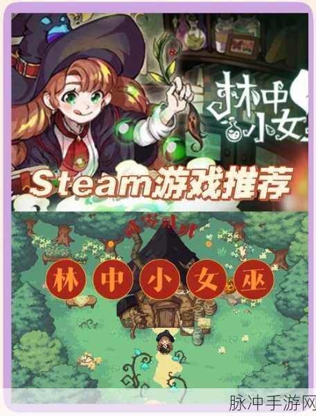 女巫大战怪兽，动作冒险之旅的全面攻略与下载指南