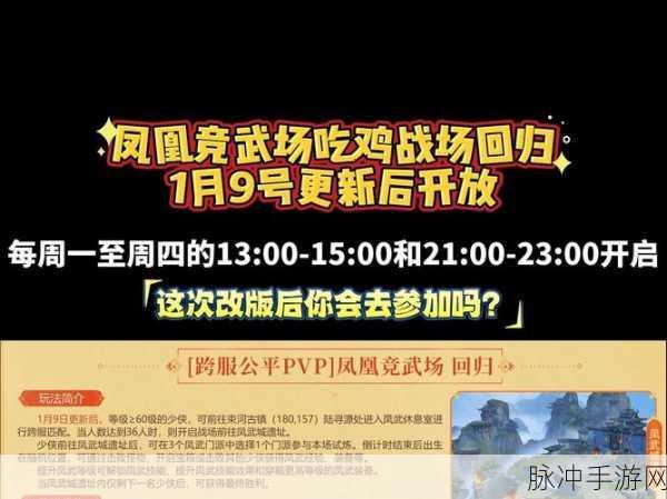 凤凰系统能否畅玩绝地求生刺激战场？全面解析与攻略