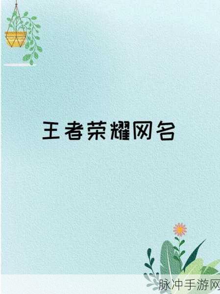 王者荣耀,打造独特魅力,探索好听个性的昵称世界