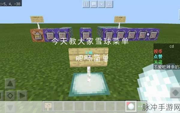 我的世界手游攻略，全面解析雪球菜单指令