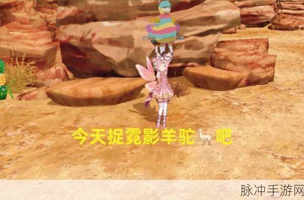 小森生活霓影羊驼位置全解析,捕捉稀有宠物的终极指南