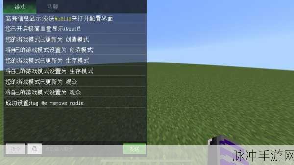 我的世界观察者深度解析，探索无限可能的功能