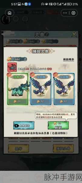 西游伏妖篇伙伴系统全面解析,具体玩法与策略搭配指南