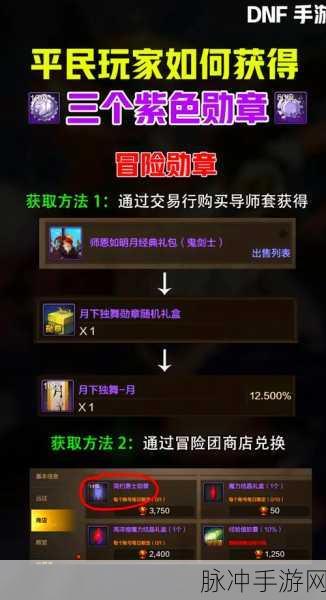 DNF手游攻略，揭秘快速获得50个追击者勋章的高效策略