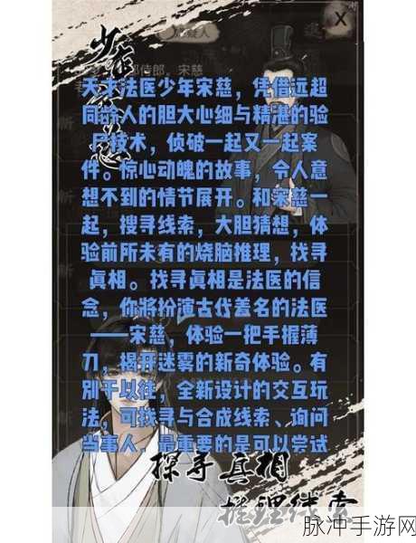 揭秘休闲新宠，我就是侦探游戏下载全攻略