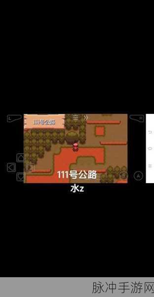 口袋妖怪究极绿宝石霸主分布全攻略，揭秘霸主秘密基地位置