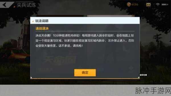 绝地求生全军出击,金币获取攻略及金币用途全面解析