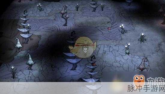 饥荒联机版深度探索,洞穴全地形及特点详解