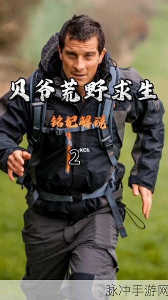 荒野求生手游攻略大全，金雕与贝爷秘籍的求生之道深度解析