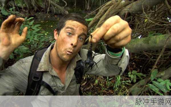 荒野求生手游攻略大全,金雕与贝爷秘籍的求生之道深度解析
