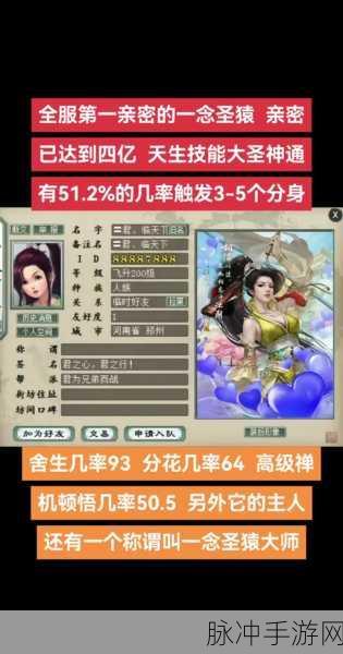 大话西游手游深度攻略，龙马加点与抗性分配详解
