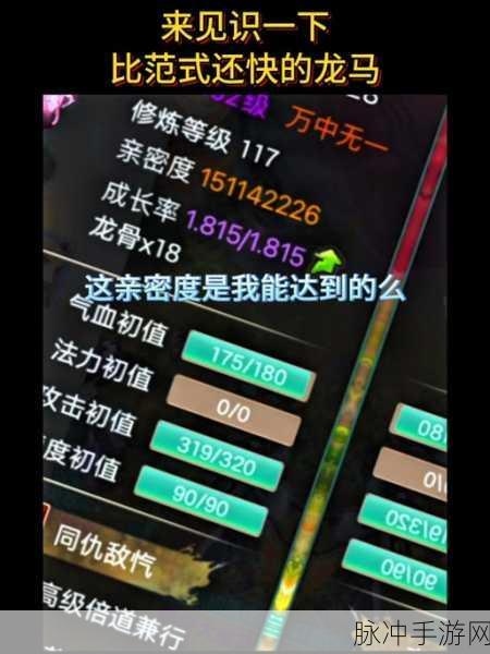 大话西游手游深度攻略,龙马加点与抗性分配详解