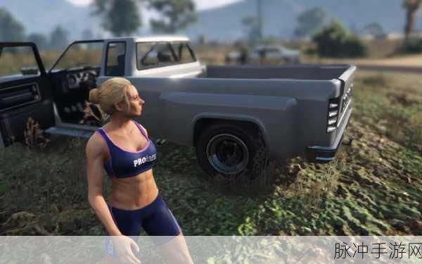 寻找虚拟世界的羽毛伙伴,GTA5线上版中的鸡探寻全攻略