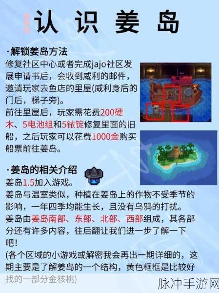 星露谷物语深度攻略,如何高效维修姜岛断桥