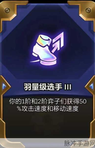 金铲铲之战深度攻略,海克斯强化规则机制详细解读及一览