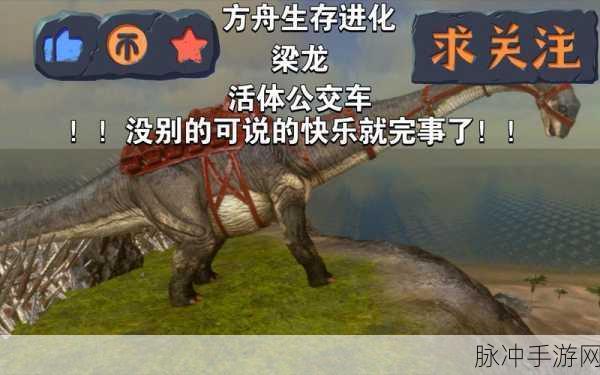 方舟梁龙秒训药,解锁游戏中的神奇助力攻略