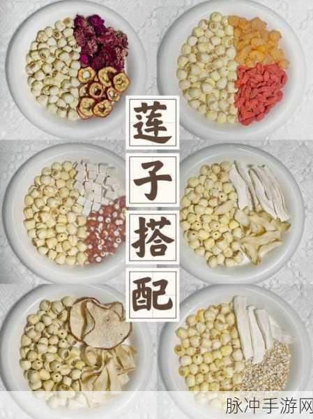 射雕手游莲子搜集全攻略，全面掌握莲子获取秘籍