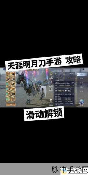 2025天涯明月刀手游攻略新手必看,深度解析与手游评价大介绍