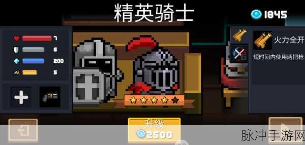 元气骑士宠物投喂全攻略,方法与策略深度剖析