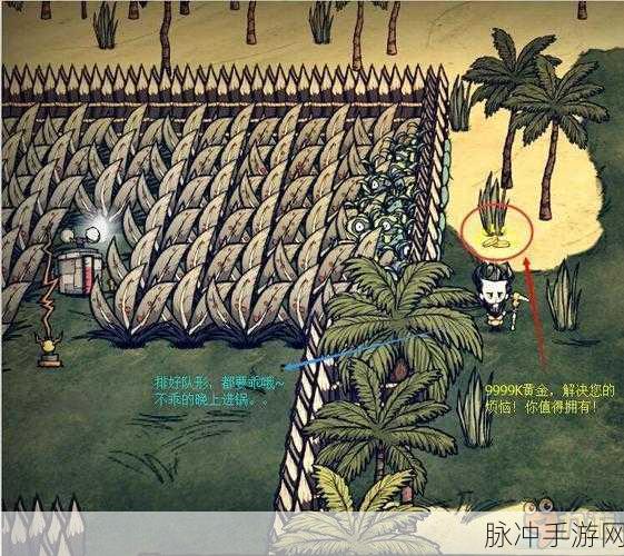 饥荒手游攻略，海难渡渡鸟的多重用途详解