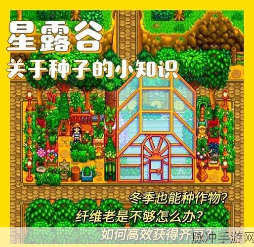 星露谷物语农作物种植全攻略，全方位培养策略与技巧详解