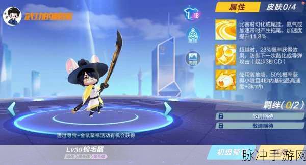 QQ飞车手游,锦毛鼠宠物深度解析与攻略