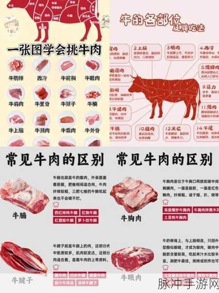 模拟江湖秘籍,牛肉获取全攻略详解