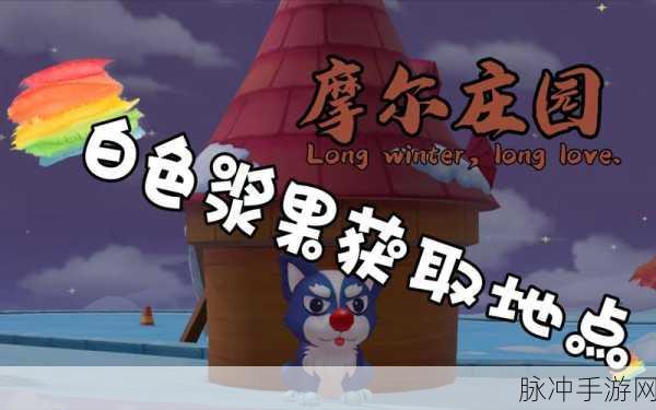 摩尔庄园手游白色浆果位置全攻略