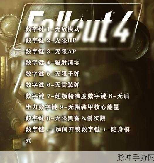 辐射4深度解析，一键关闭灵光品质与提升游戏体验秘籍