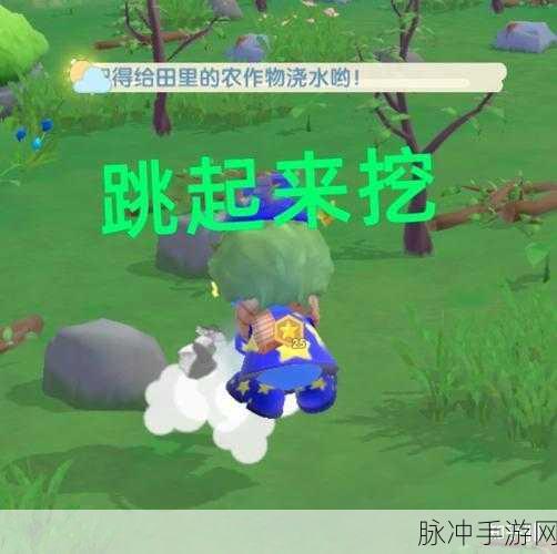 摩尔庄园手游银矿石获取全攻略