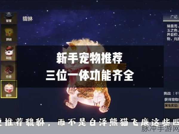 妄想山海吞蛋进化深度攻略，解锁宠物潜能的奥秘