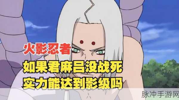 火影忍者手游深度攻略,君麻吕与鬼鲛对比及获取分析